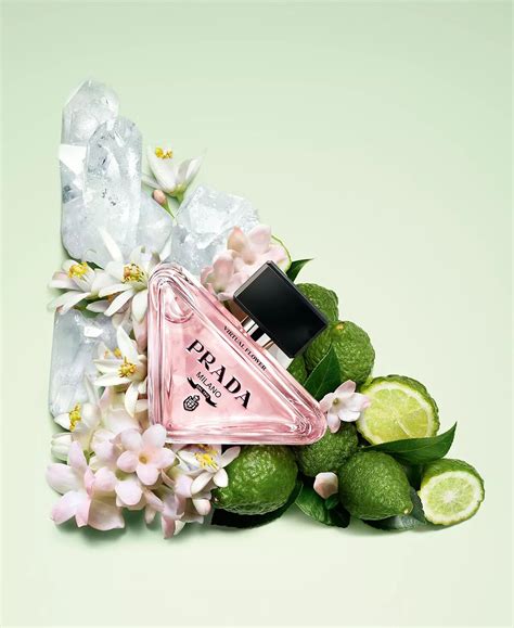 prada fleur paris|prada paradoxe flower perfume.